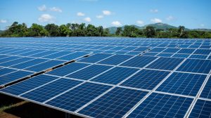Read more about the article How to Access Solar Grants and Incentives in Nigeria